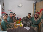 Robin 01.jpg